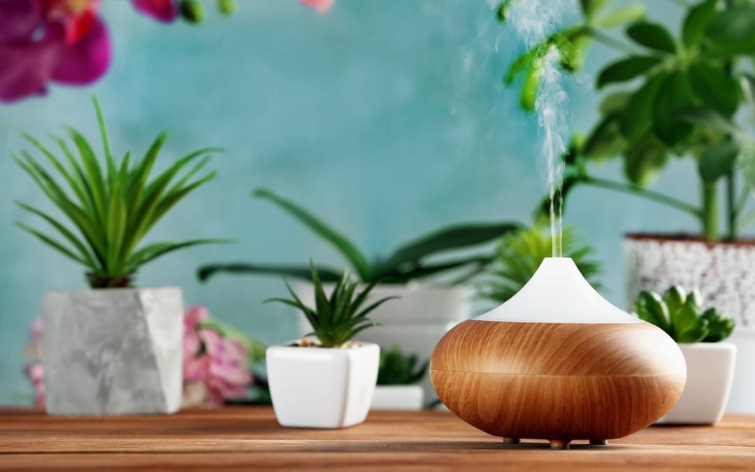 essential oil diffusers on table, plants in background 