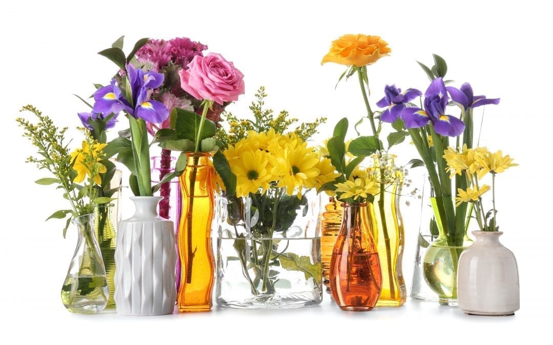 flowers in vases 
