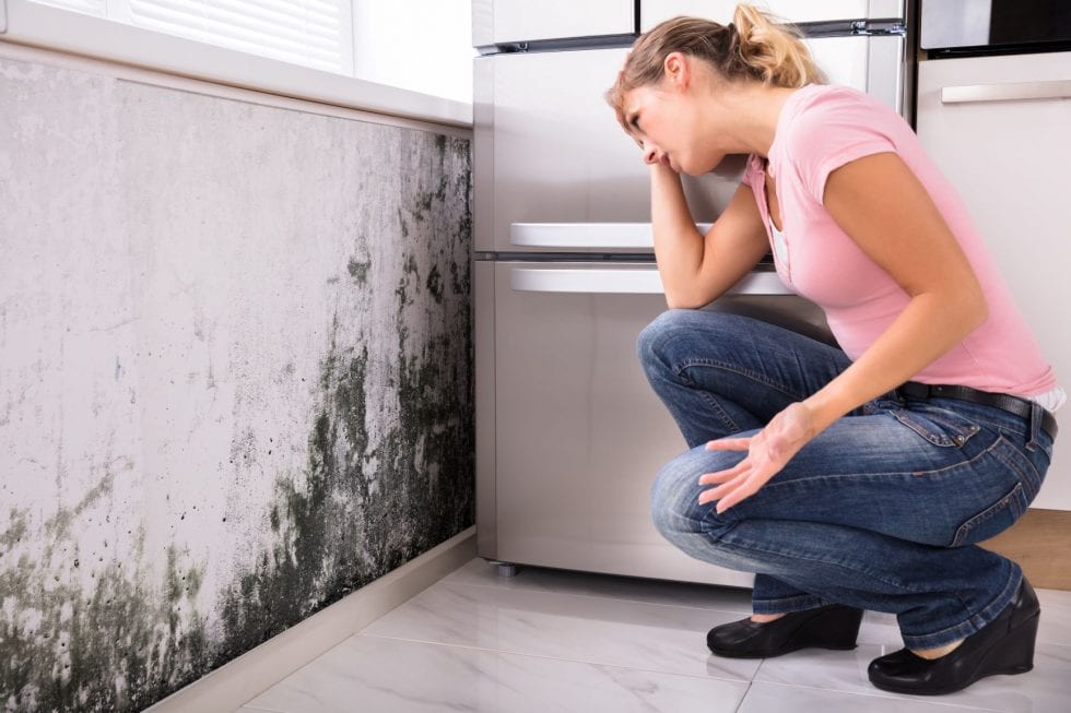 woman stressed over mold on counter wall 