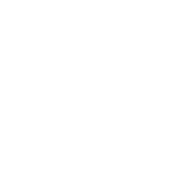 Lemi Shine Logo