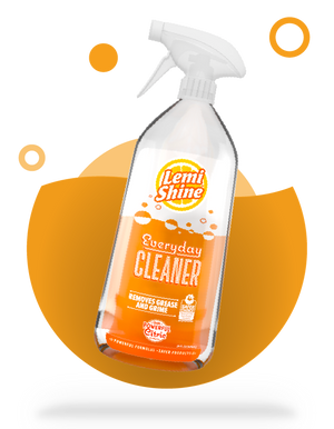 Everyday Cleaner WS