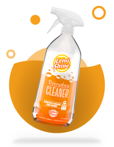 Everyday Cleaner WS